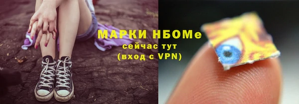 индика Березники